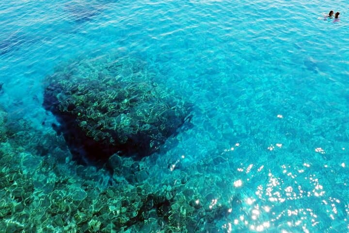 Paphos Zoo & Blue Lagoon Cruise with Local Guide — Day Tour from Paphos photo 5