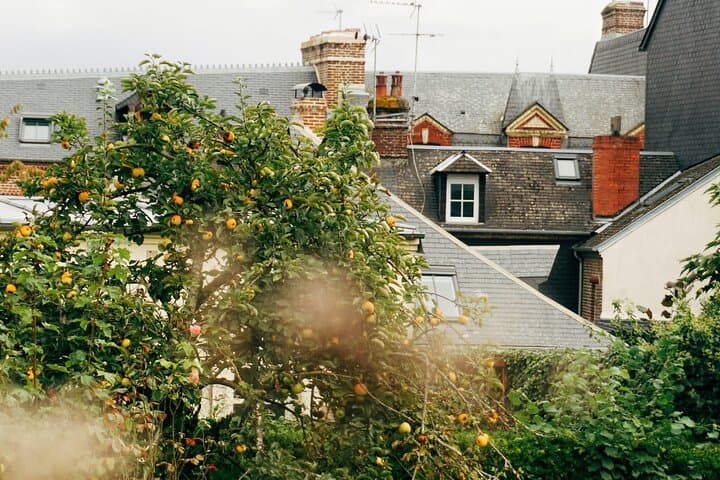 Normandy Coastal Day Trip: Deauville & Honfleur from Paris photo 6