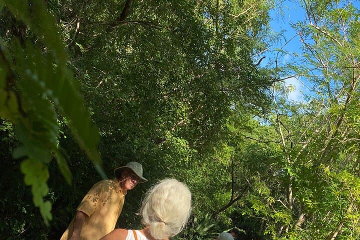 Half-Day Electric Bike Tour in North Caicos — Beaches, Flamingos & Local Flavors photo 6