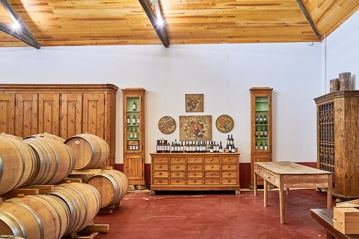 Lisbon 4WD Winery Tour — Half-Day Wine Tasting in Alenquer & Torres Vedras photo 6
