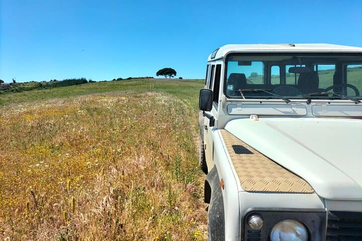 Lisbon 4WD Winery Tour — Half-Day Wine Tasting in Alenquer & Torres Vedras