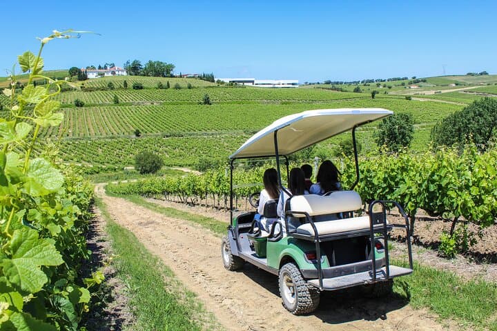 Lisbon 4WD Winery Tour — Half-Day Wine Tasting in Alenquer & Torres Vedras photo 2