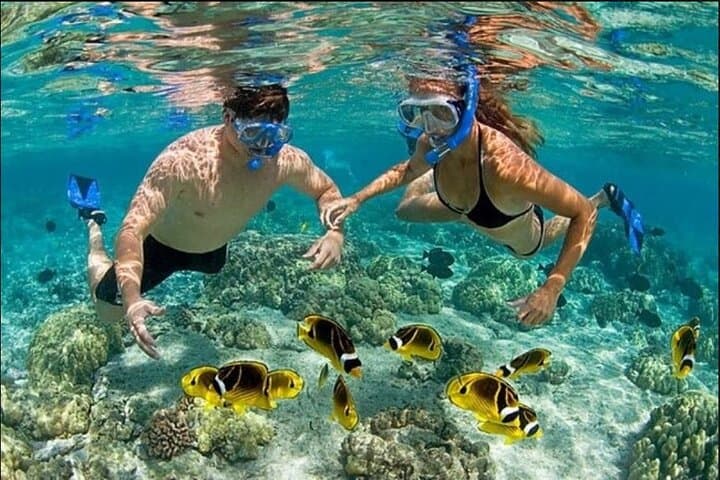 speedboat-snorkel-adventure-punta-cana photo 6