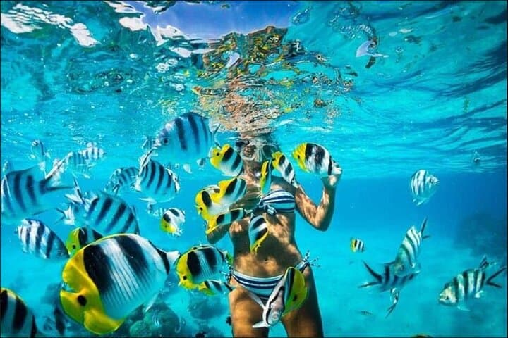 Parasailing and Snorkeling from Bavaro Beach: Private Speedboat Experience in Punta Cana photo 6