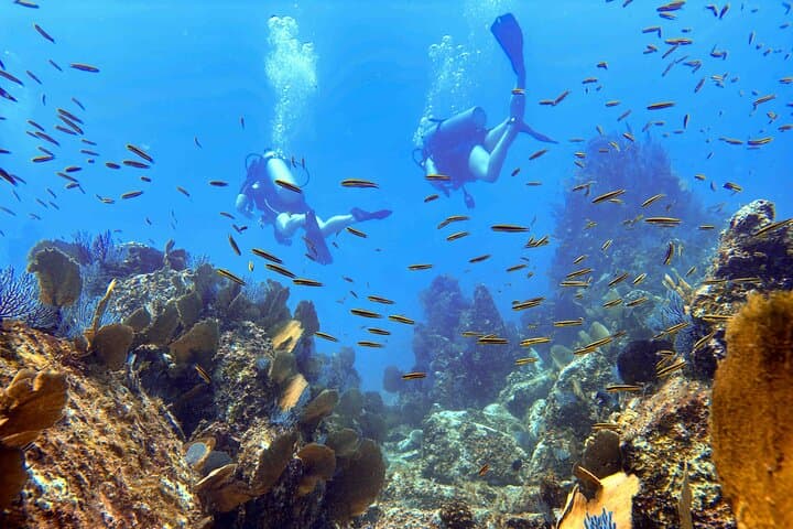 Kauai Beginner SCUBA at Koloa Landing — Guided Shore Dives & Turtle Encounters photo 2