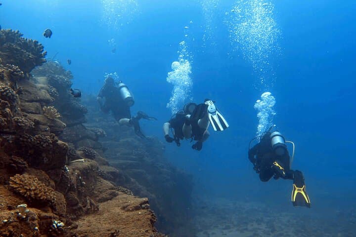 Afternoon Scuba Charter from Kukuiula Harbor — Poipu's Best Dive Sites photo 5