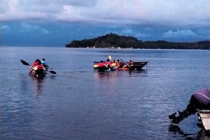 Paquera Bioluminescence Kayak Tour — 2-Hour Night Paddle in Costa Rica photo 6