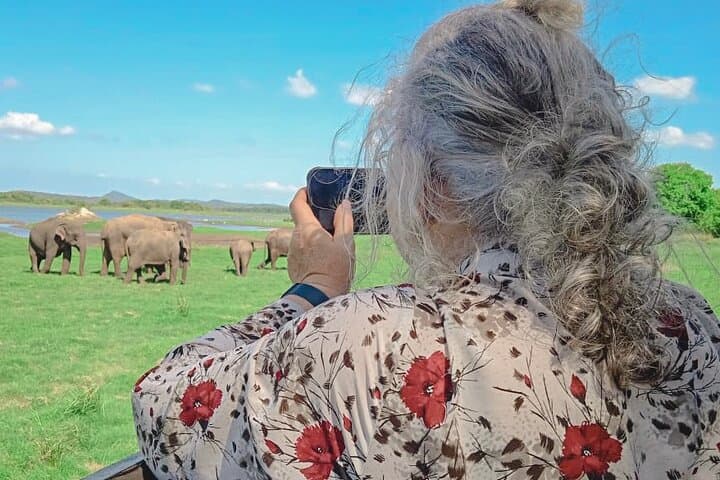 Sigiriya and Minneriya Great Escape: Rock Fortress Climb and Minneriya Elephant Safari Day Tour photo 2