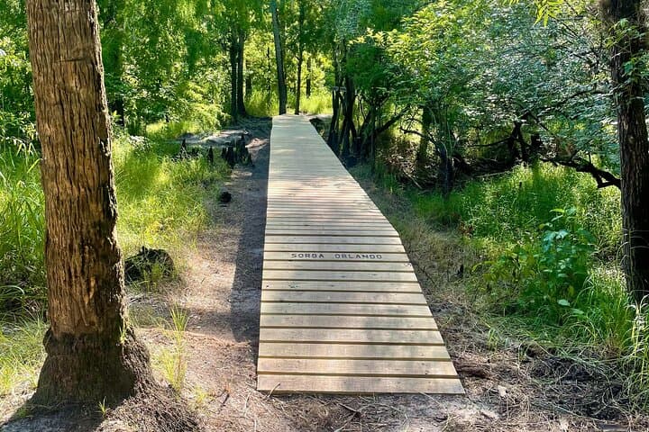 4-Hour Mountain Bike Rental in Sanford: Central Florida Trail Guide photo 4