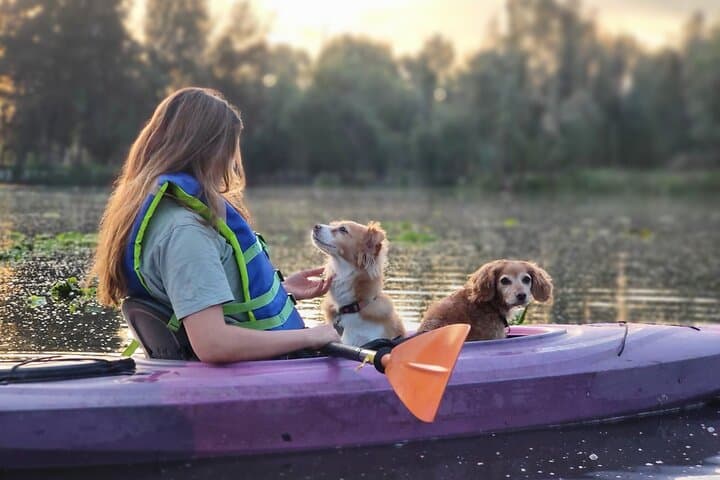 Sunrise Kayak in Xochimilco: Morning Canals & Chinampa Brunch photo 1