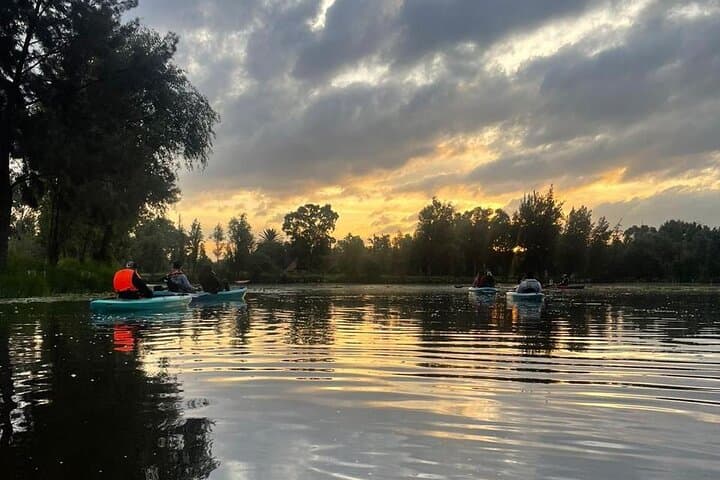 Sunrise Kayak in Xochimilco: Morning Canals & Chinampa Brunch photo 3