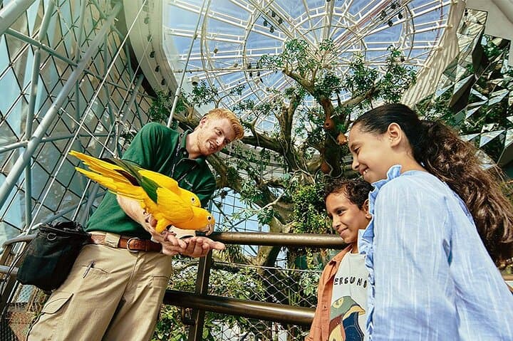 Inside The Green Planet Dubai: A Rainforest Bio‑Dome Experience at City Walk photo 6