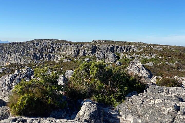 Half-Day Table Mountain Tour from Cape Town: Cableway, Bo-Kaap & Summit Trails photo 4