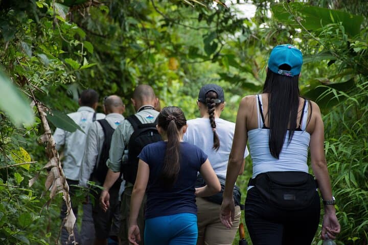 Arenal Lake Flexi Pass: Kayak, SUP & Peninsula Trail in 3 Hours photo 6