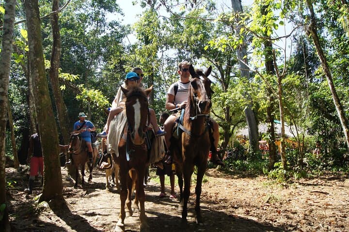Samana & El Limon Waterfall Small-Group Day Trip from Punta Cana photo 2