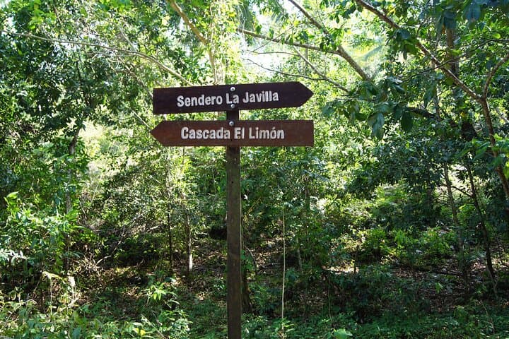 Samana & El Limon Waterfall Small-Group Day Trip from Punta Cana photo 4