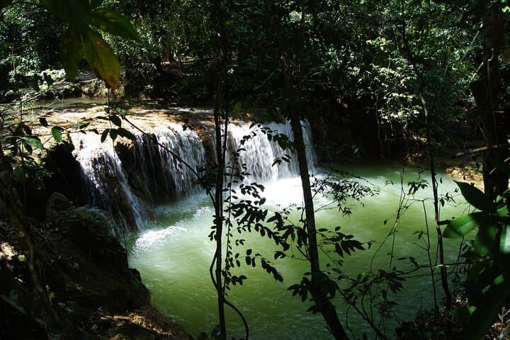 Samana & El Limon Waterfall Small-Group Day Trip from Punta Cana photo 5