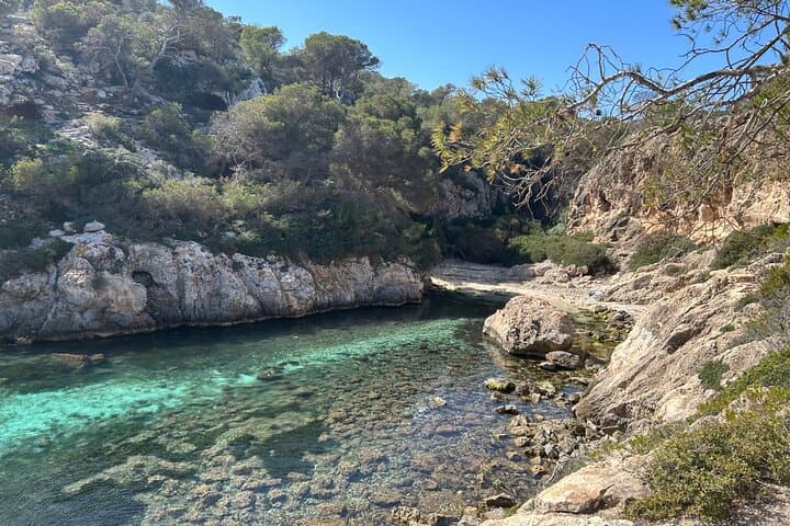 Explore Mallorca's Secret Coves by Vintage Land Rover — Private Coastal Tour photo 2