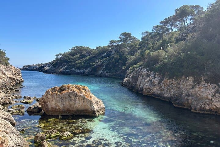 Explore Mallorca's Secret Coves by Vintage Land Rover — Private Coastal Tour photo 6