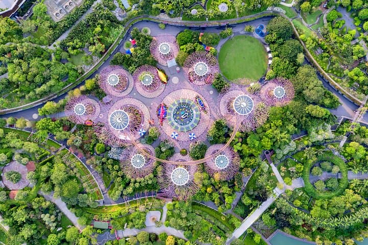 Gardens by the Bay Guided Tour: Supertrees, Cloud Forest & Flower Dome Experience