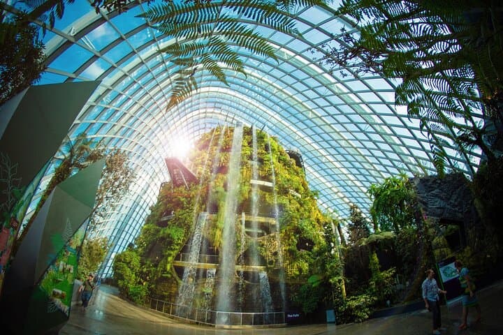 Gardens by the Bay Guided Tour: Supertrees, Cloud Forest & Flower Dome Experience photo 3
