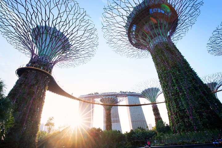Gardens by the Bay Guided Tour: Supertrees, Cloud Forest & Flower Dome Experience photo 4
