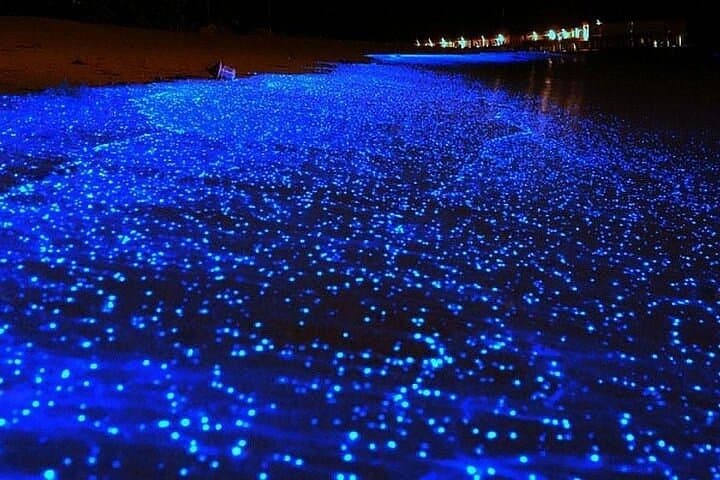 Ao Nang Bioluminescent Plankton Night Swim by Longtail Boat photo 3