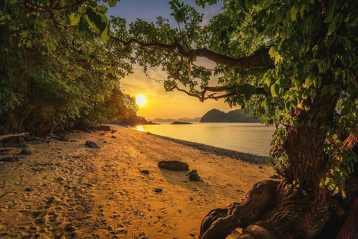 Phi Phi & 4-Island Sunset Speedboat Tour with Bioluminescent Plankton and BBQ photo 6