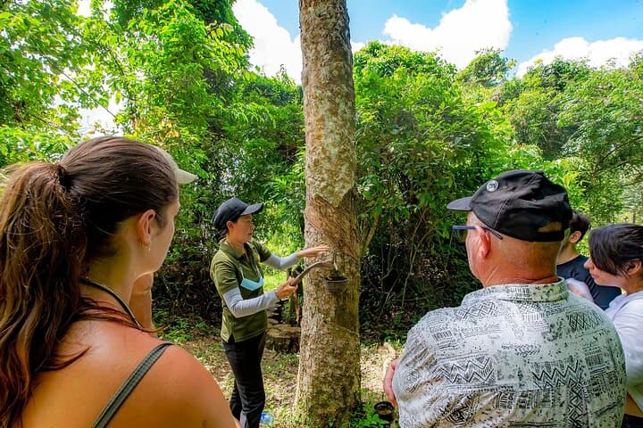 Mini Elephant Nature at Bukit Elephant Park — Ethical Elephant Encounter & Thai Culture near Phuket photo 6