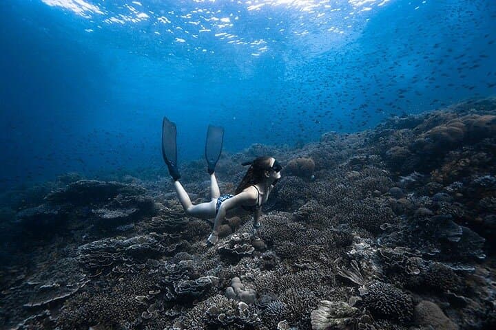Beginner Freediving Course in Panglao: 2.5-Day AIDA, SSI & Molchanovs Training to 20m
