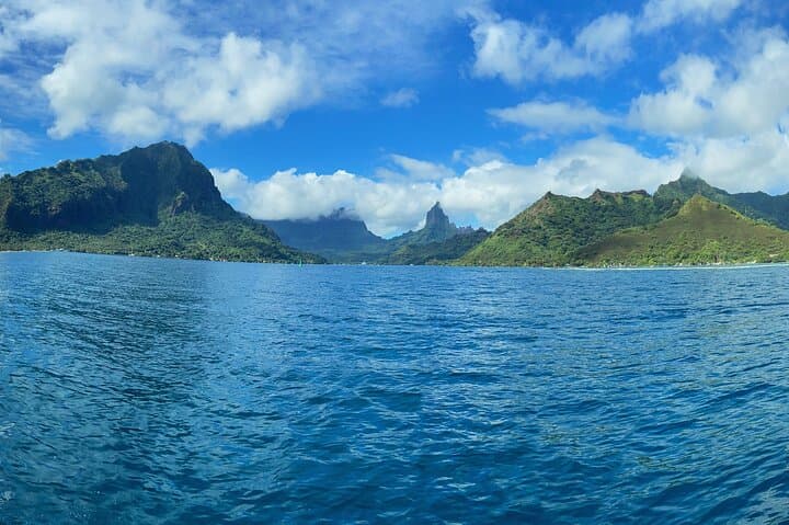 Half-Day Humpback Encounter in Moorea — Swim Respectfully with Calving Whales photo 5