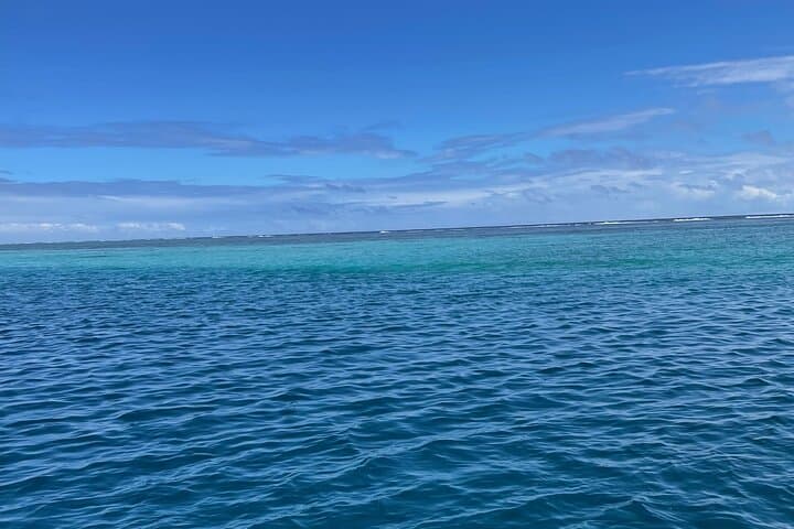 Half-Day Humpback Encounter in Moorea — Swim Respectfully with Calving Whales photo 6