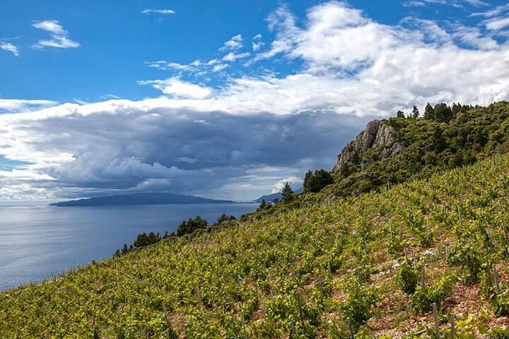 Pelješac Peninsula Wine Tasting from Dubrovnik — Ston Wineries & Salt Pans Tour
