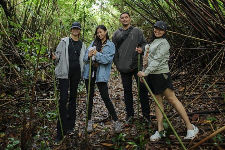 Forest Bathing on the Tanguile Trail at Mahagnao Lake, Leyte photo 5