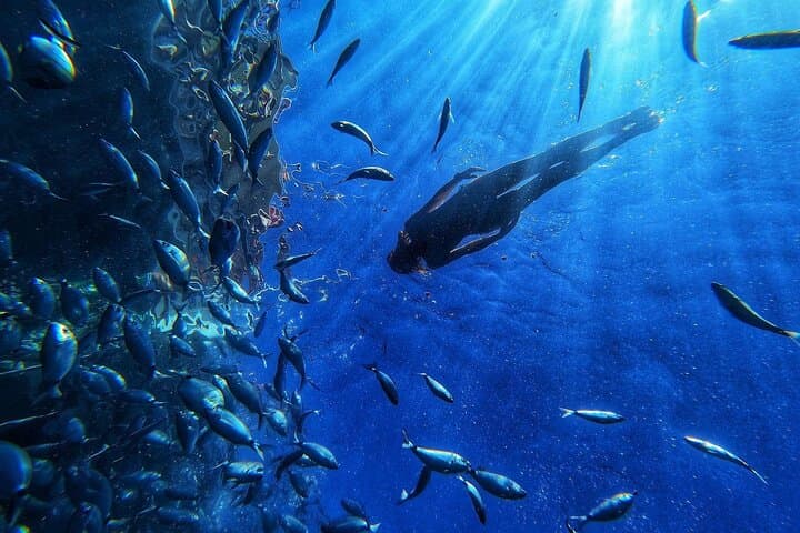 Afrikat Afternoon Cruise: 4.5-Hour Catamaran from Puerto Rico, Gran Canaria photo 2