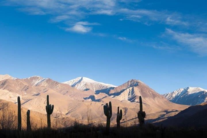 Cachi & Calchaquíes Valley Day Trip from Salta — Quebradas, Cardones & Inca Road photo 2