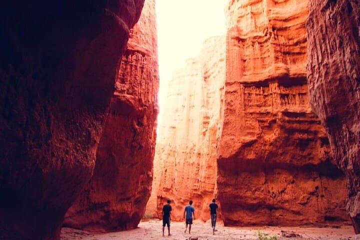 Salta to Cafayate: Drive Through Quebrada de las Conchas and Torrontés Tasting