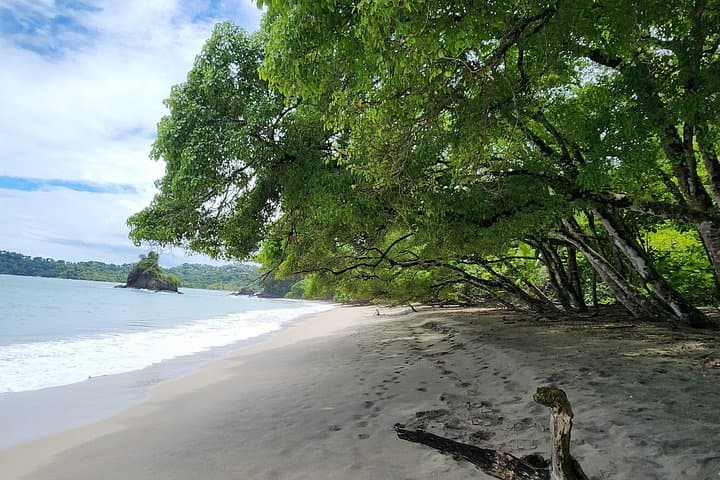Manuel Antonio National Park Day Trip from San José — Beach, Wildlife & Rainforest photo 4