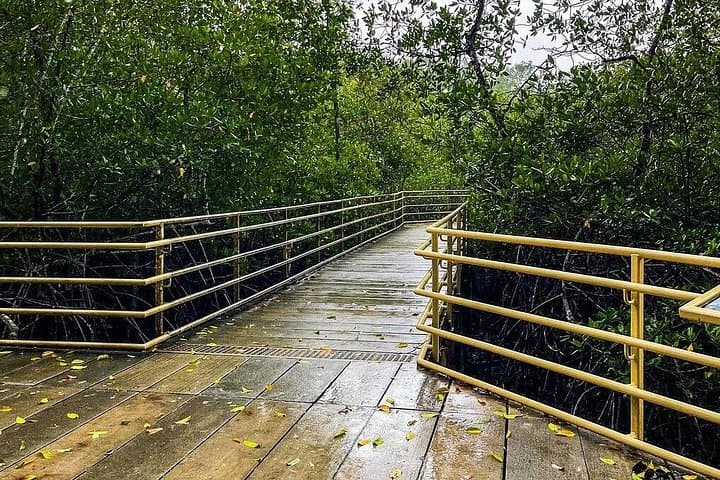 Manuel Antonio Day Trip from San José: Rainforest Trails, Beaches & Wildlife photo 2