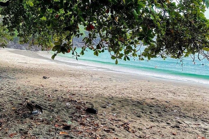 Manuel Antonio Day Trip from San José: Rainforest Trails, Beaches & Wildlife photo 3