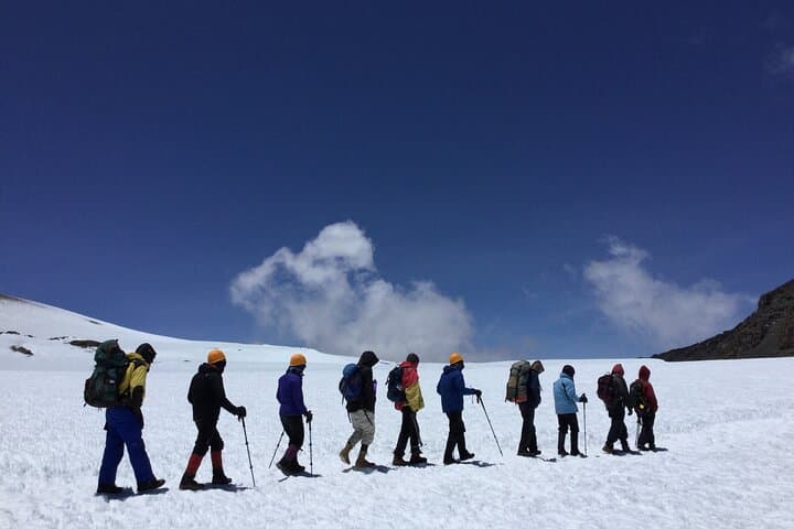 8-Day Kilimanjaro Lemosho Route Guide — Summit Uhuru Peak via Shira Plateau photo 4