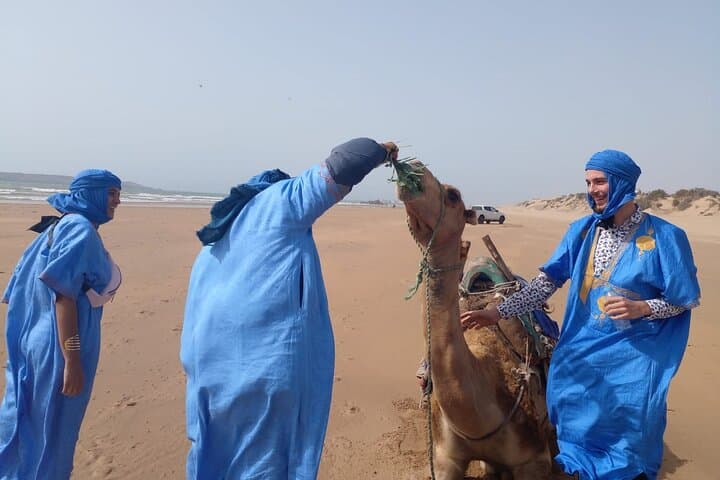 Essaouira Quad & Dromadery: 2-Hour Dunes and Beach Adventure photo 3