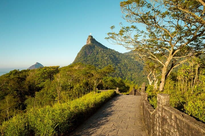 Half-Day Private Tour in Tijuca National Park — Pedra Bonita, Waterfalls & São Conrado