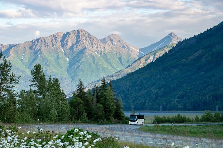 Anchorage to Whittier Wildlife Adventure — Seward Highway Drive & AWCC Stop photo 2