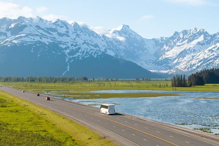 Seward to Anchorage Wildlife Adventure — Seward Highway, Turnagain Pass & Alaska Wildlife Conservation Center photo 4