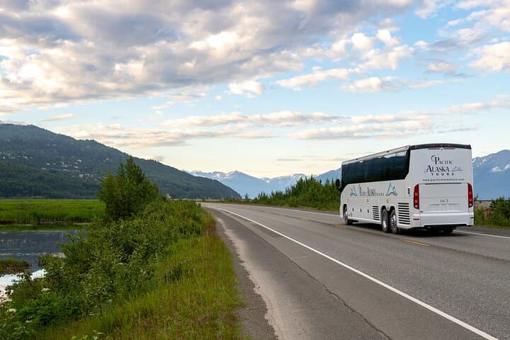 Seward to Anchorage Wildlife Adventure — Seward Highway, Turnagain Pass & Alaska Wildlife Conservation Center photo 5
