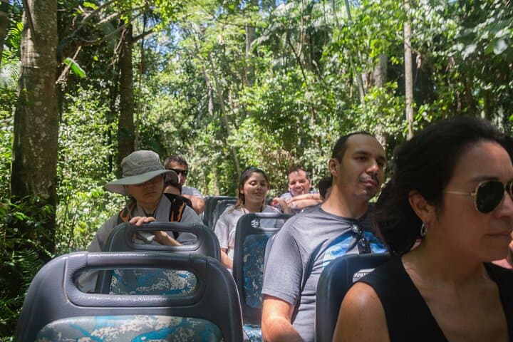 Iguazu Falls Brazilian Side and Macuco Safari: Panoramic Views & Boat Ride photo 2