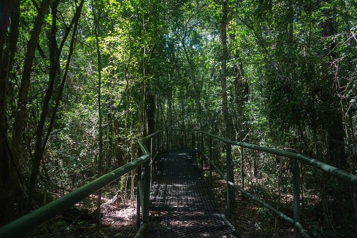 Iguazu Falls Brazilian Side and Macuco Safari: Panoramic Views & Boat Ride photo 3