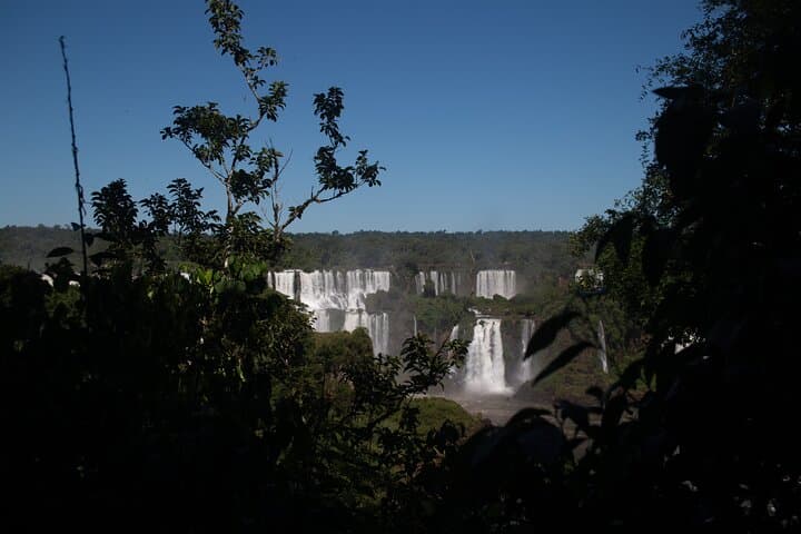 Iguazu Falls Brazilian Side and Macuco Safari: Panoramic Views & Boat Ride photo 6