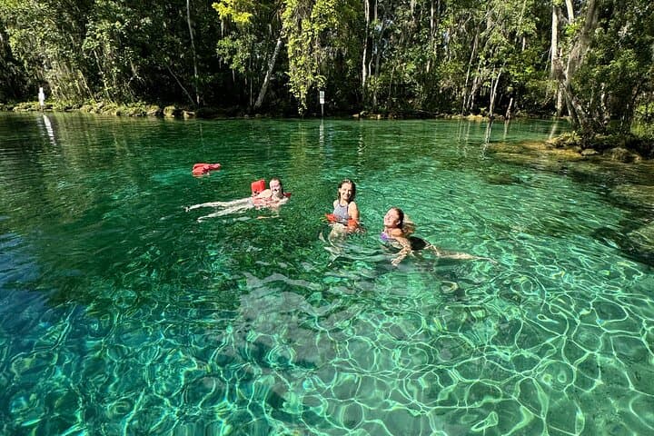 Clear Kayak & Snorkel with Manatees at Three Sisters Springs